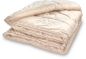 Preview: Baumberger Woll Duodecke warm Winter