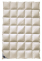 Preview: billerbeck Decke Exclusiv Daune 108 Ballerina Mono