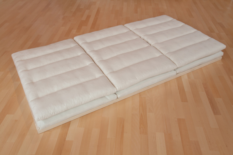 Moosburger Rosshaar Untermatratze Bioclen UM-RS 3/3