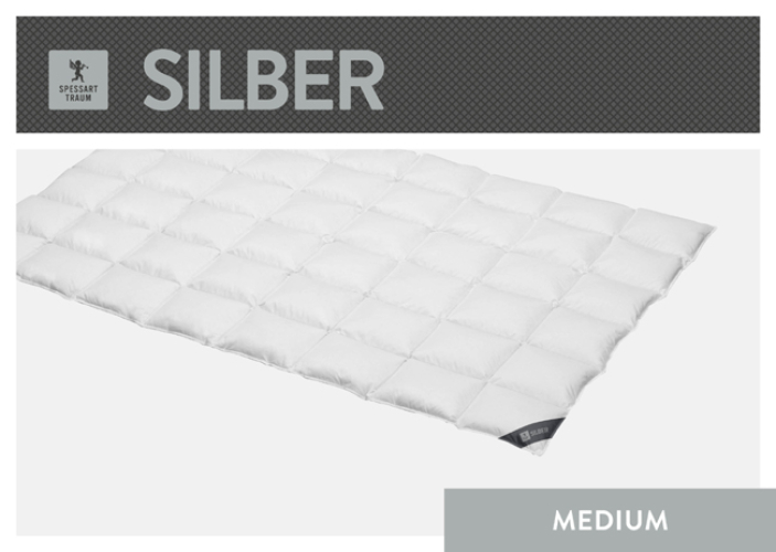 Spessarttraum Daunendecke Silber medium