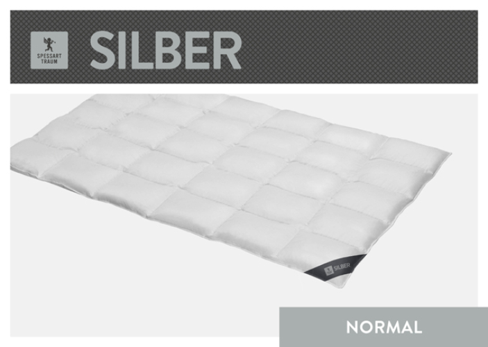 Spessarttraum Daunendecke Silber normal