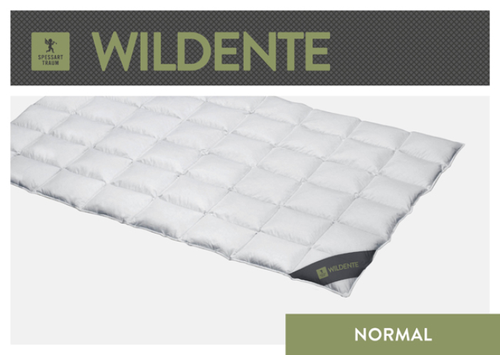 Spessarttraum Daunendecke Wildente normal