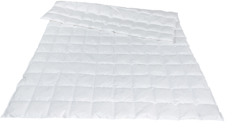 Traumina Plume Bio Daune WK 1