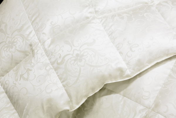 Häussling Select Eiderdaune warm
