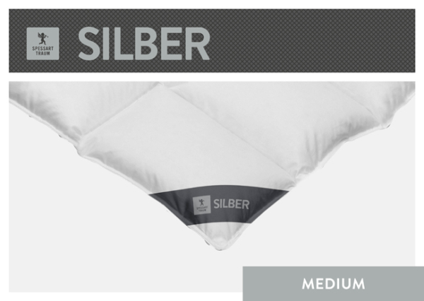 Spessarttraum Daunendecke Silber medium