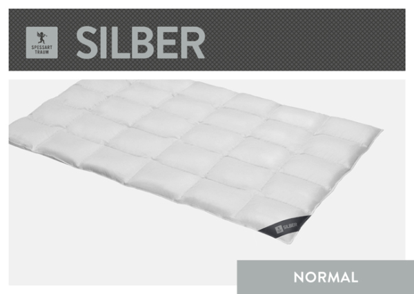 Spessarttraum Daunendecke Silber normal