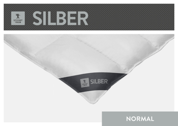 Spessarttraum Daunendecke Silber normal