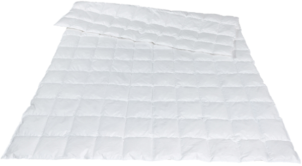 Traumina Plume Bio Daune WK 1