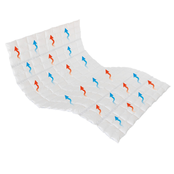 Traumina Breeze Daune Einziehdecke WK 2